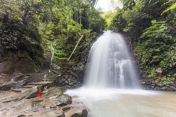 养在深闺里无人知,养在深闺无人识全文