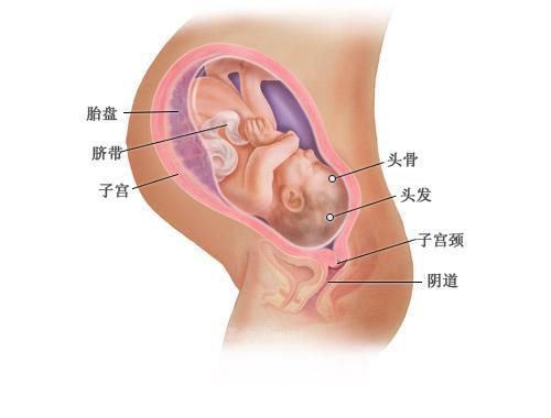 产前疑惑问题及解决,产前一个月的待产问题