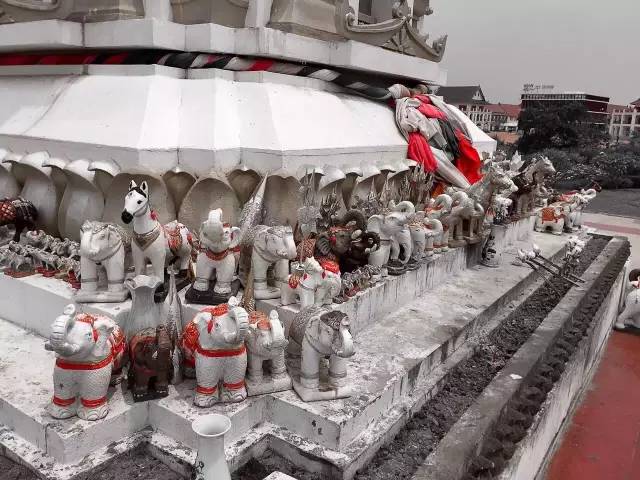 每个工作旅行者都想当旅行界的papi酱，然而。。。