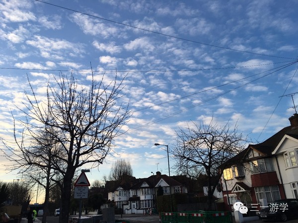 家长必读!16岁中国女孩Evelyn独自英国游学游记