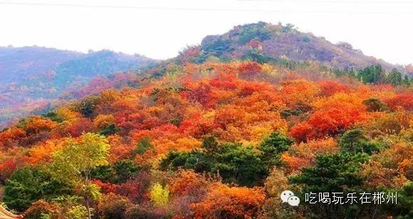 不要听说郴州怎样，进来听听郴州怎么说。