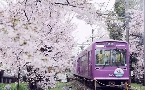 京都最值得去的景点,京都必玩的十大景点推荐图片欣赏