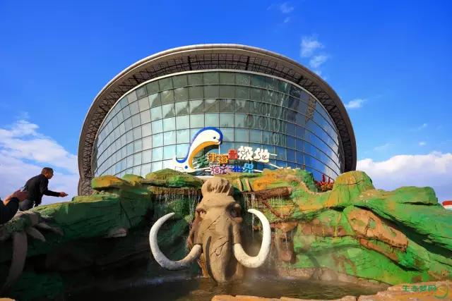 身份证450开头为什么全球免签,身份证丢了急用出国旅游怎么办