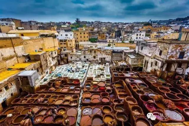 LP年度最佳三毛最爱北非后花园摩洛哥免签啦！