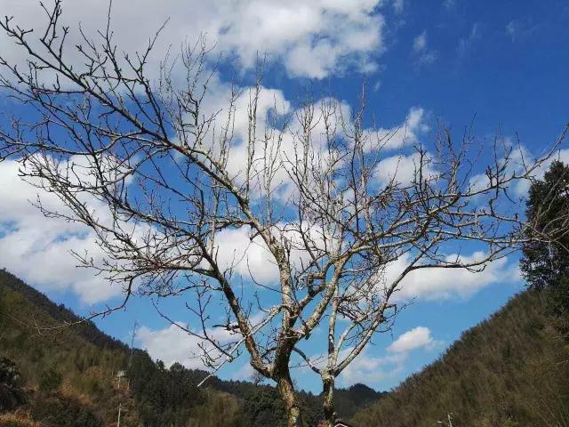 忆龙泉怎么样,忆龙泉儿童