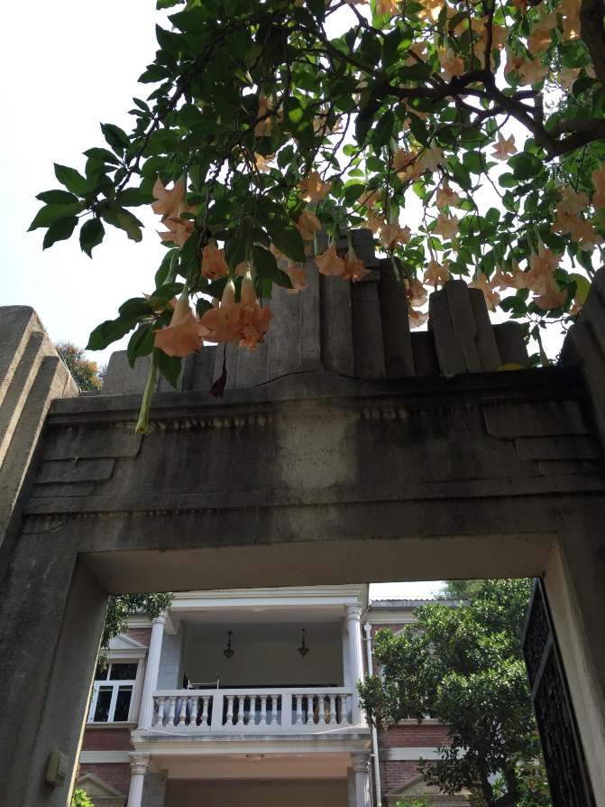 鼓浪屿自驾游全攻略,厦门鼓浪屿登岛全攻略