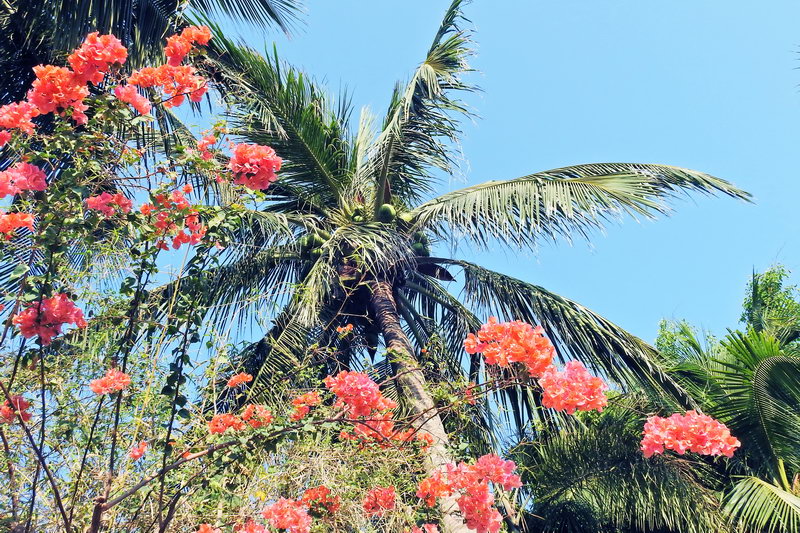 越南美奈旅游攻略,越南美奈度假区