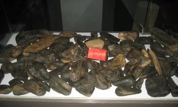 带你了解假沉香是怎么做的,假沉香制作视频