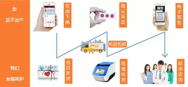 维生素是第几个营养素,维生素到底是什么