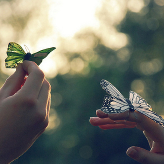 叶紫莹：心灵上的衰老