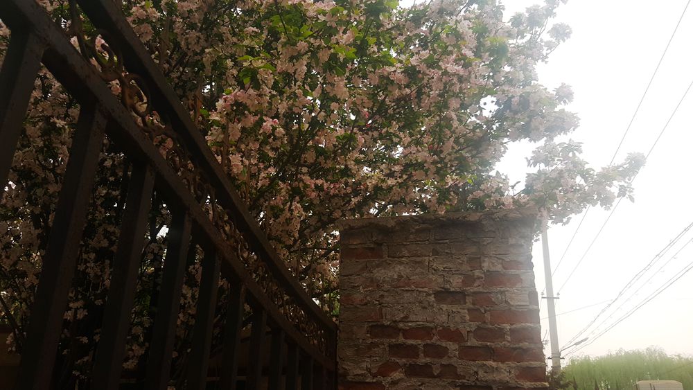 看乐亭小县城里的小市民，怎样装点生活