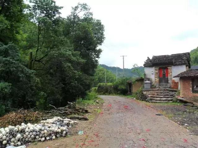 忆龙泉怎么样,忆龙泉儿童