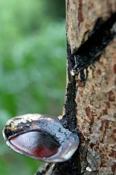 家具涂料的秘密：竟有这么多学问！