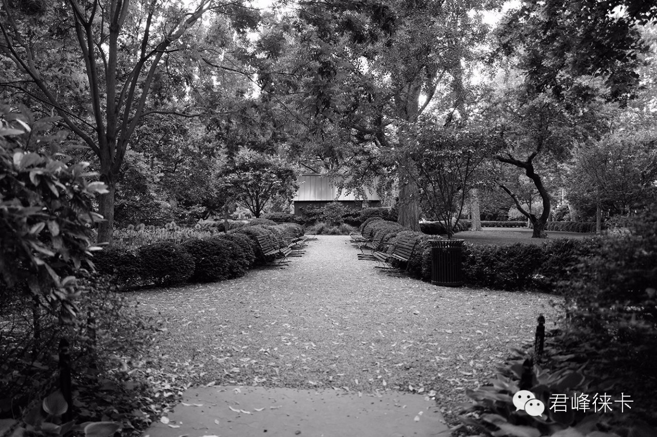 徕卡一万元街拍机,徕卡q一代为什么那么贵