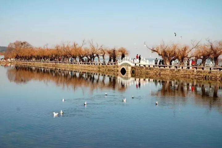 昆明看红嘴鸥最好的地方叫什么,重庆看红嘴鸥攻略