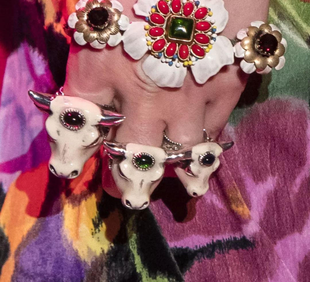 12生肖驾到视频,十二生肖迎接高光时刻