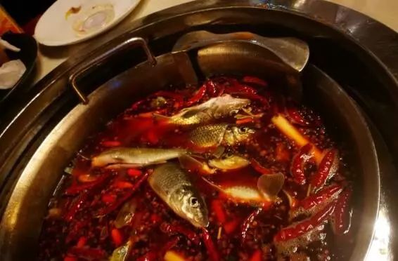 成都值得推荐的自助餐,成都好吃的自助180左右