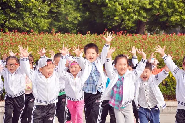 衢州十大最好的幼儿园,衢州前十名重点幼儿园