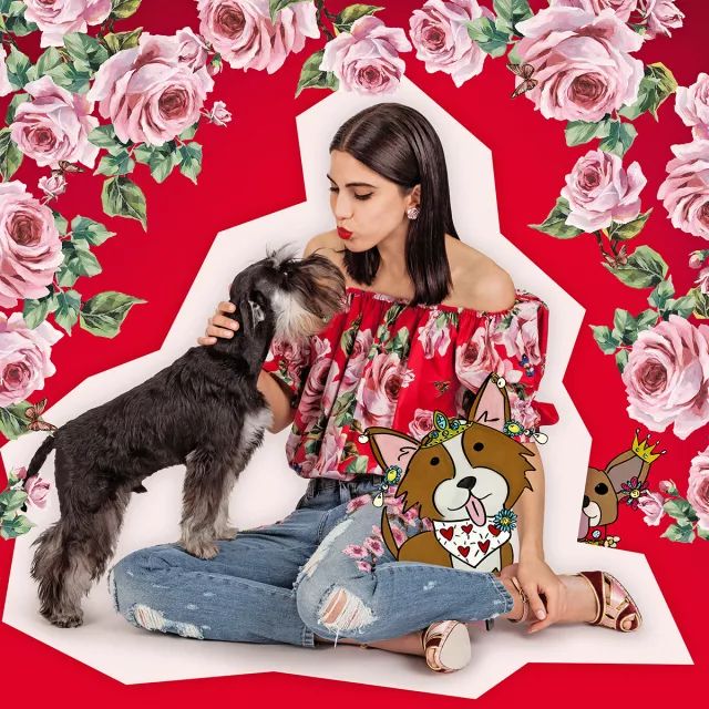 年味渐消的中国红,春节送礼中国红