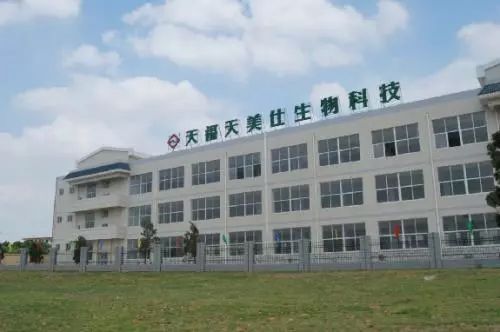 天福天美仕前景怎么样,天福天美仕现在怎样了