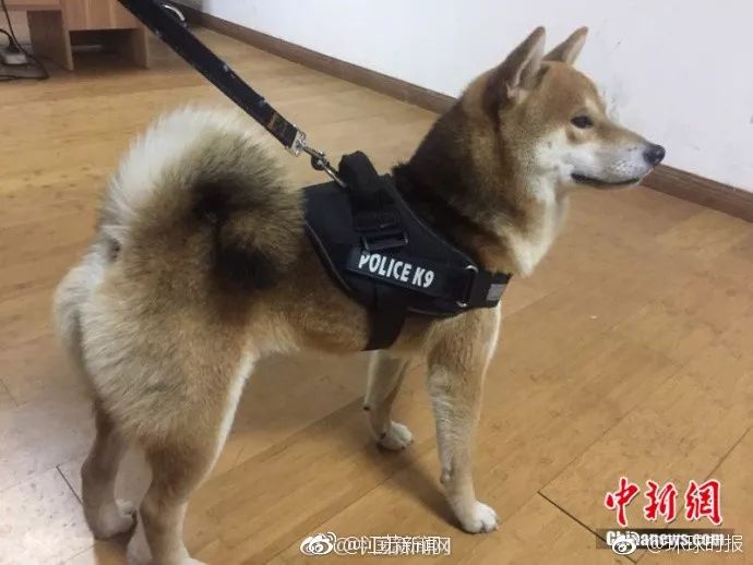 「晋江囧仙」儿子弄丢5块钱地铁票，妈妈急得动手：我没这么多钱……