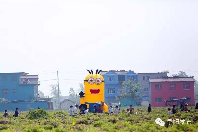 界首有个*瑰园玫**，美爆了！没去别后悔~