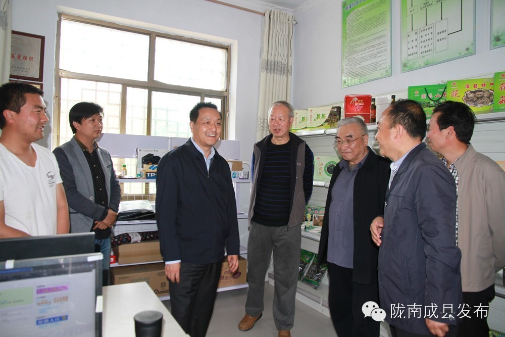 要闻丨何光弟等领导在成县调研工作