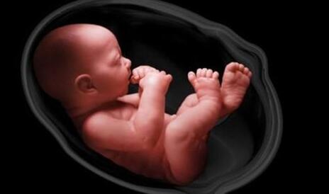 怀孕后总担心宝宝发育不好,孕初期在家怎么判断孩子发育正常