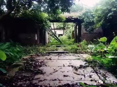 池厝渡,池厝渡抬龙头