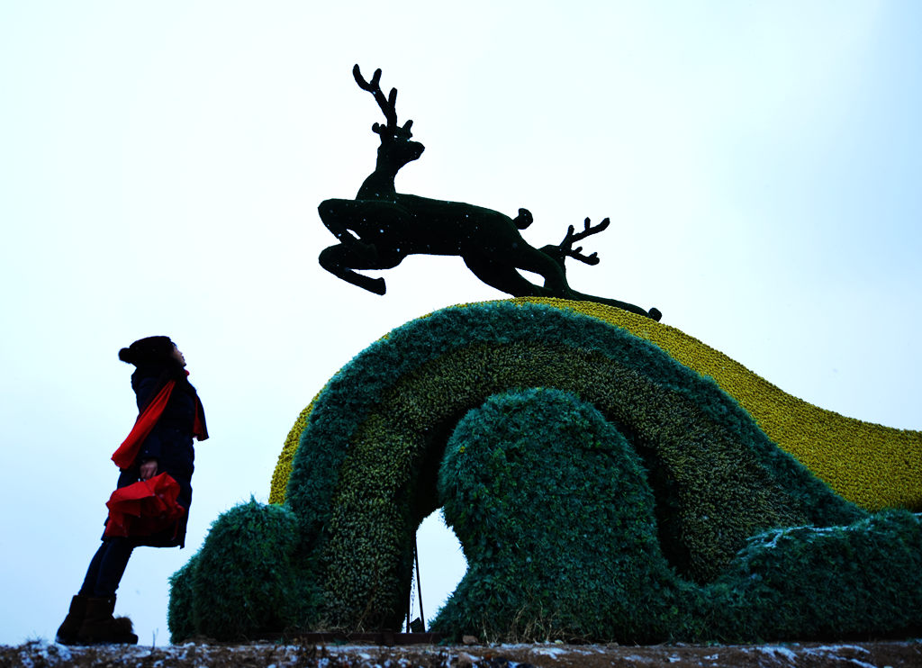 小雪装饰主题墙,小雪装饰装修