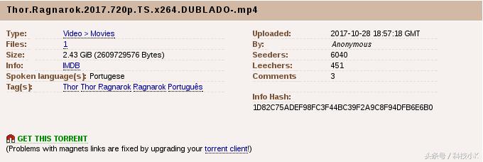 播放torrent的软件,看种子软件