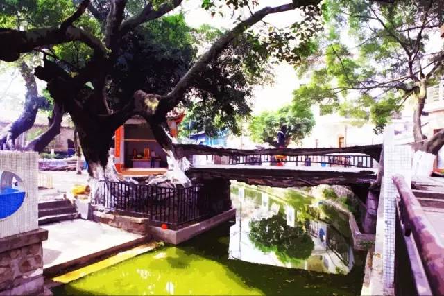 佛山地铁28号线通南海人民医院吗,未来的佛山地铁