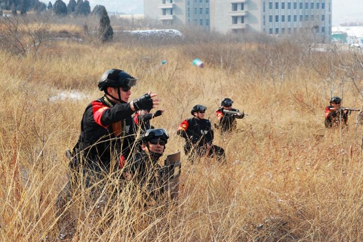 黑豹雪豹特战队,成都黑豹突击队魔鬼大练兵