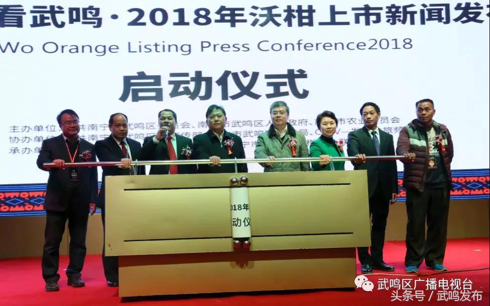 武鸣沃柑开园上市,武鸣沃柑2024发布现场