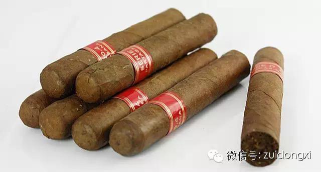 不曾驯服的野性，随风而逝