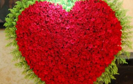 情人节999朵玫瑰大概多少钱临颍,情人节送白色玫瑰花的寓意