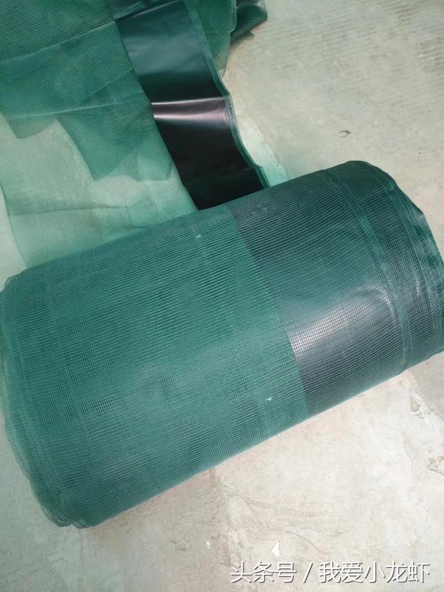 养虾的基本知识要怎么养,养虾的全过程基本知识