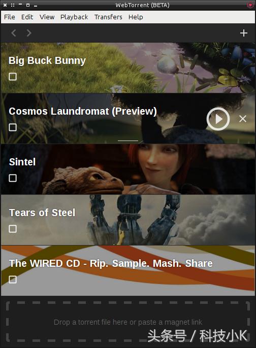 播放torrent的软件,看种子软件