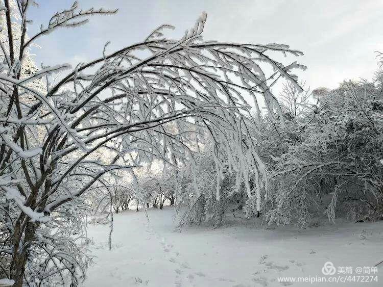 天池长白山雪岭,雨天天池山