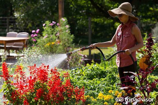 住世界最高的酒店,最好的农家乐住宿