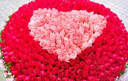 情人节999朵玫瑰大概多少钱临颍,情人节送白色玫瑰花的寓意