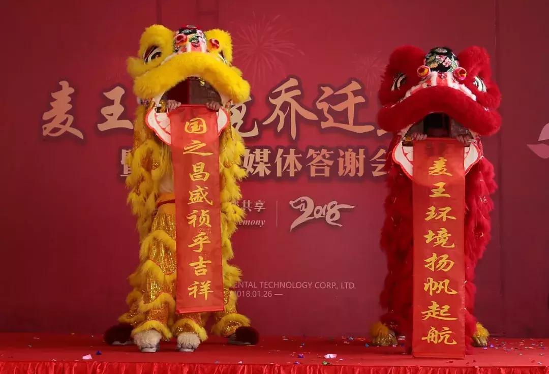 麦王环境技术股份有限公司,麦王环境股份有限公司