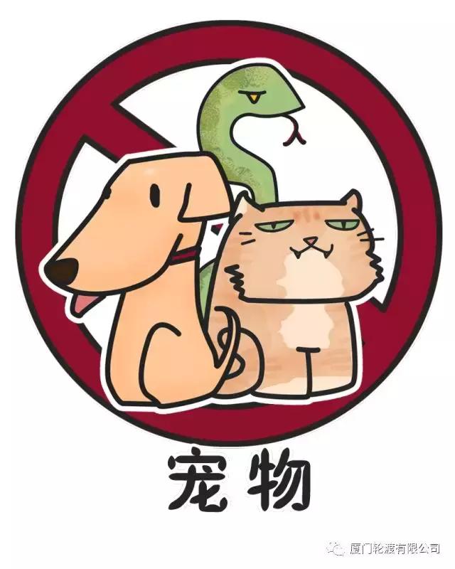 春节鼓浪屿船票提前预订 (春节鼓浪屿船票免费吗)