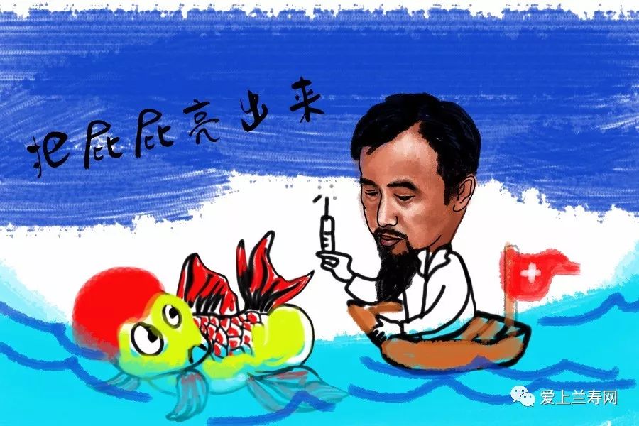 金鱼用药搭配技巧,老天聊金鱼