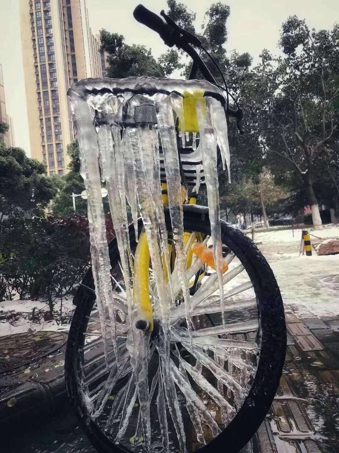 一家三个生病,一家三人癌症