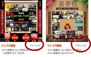能挣钱的steam电脑游戏,在网上steam的游戏靠什么赚钱