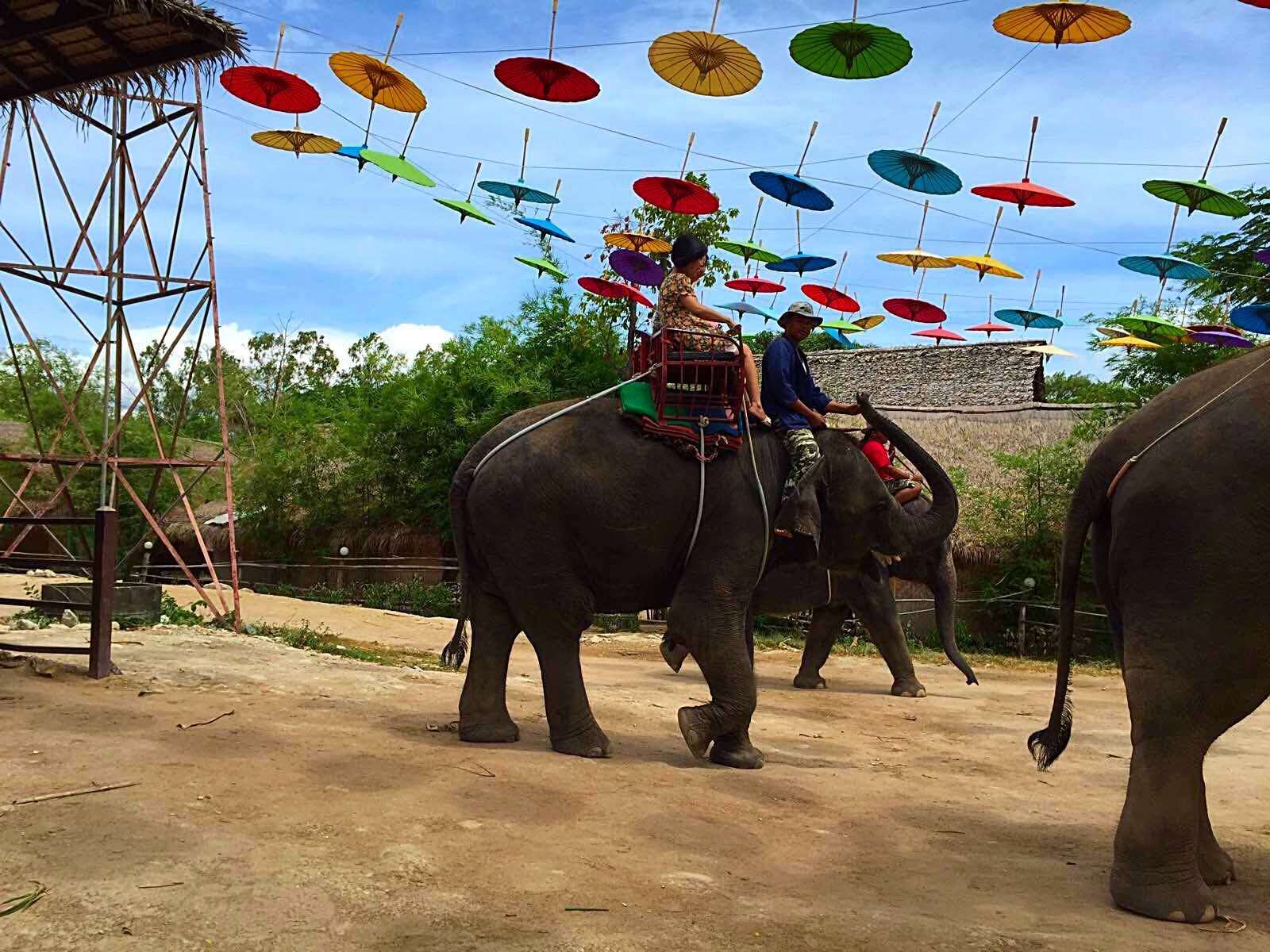 泰国芭提雅有什么玩的,泰国芭提雅玩什么项目