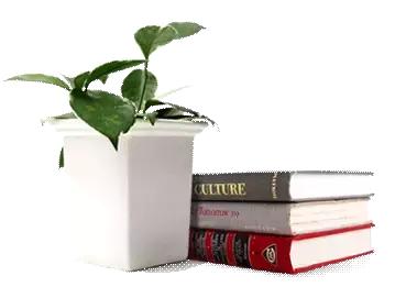 紫轩征文展现：紫轩，我深情的爱恋｜何妮