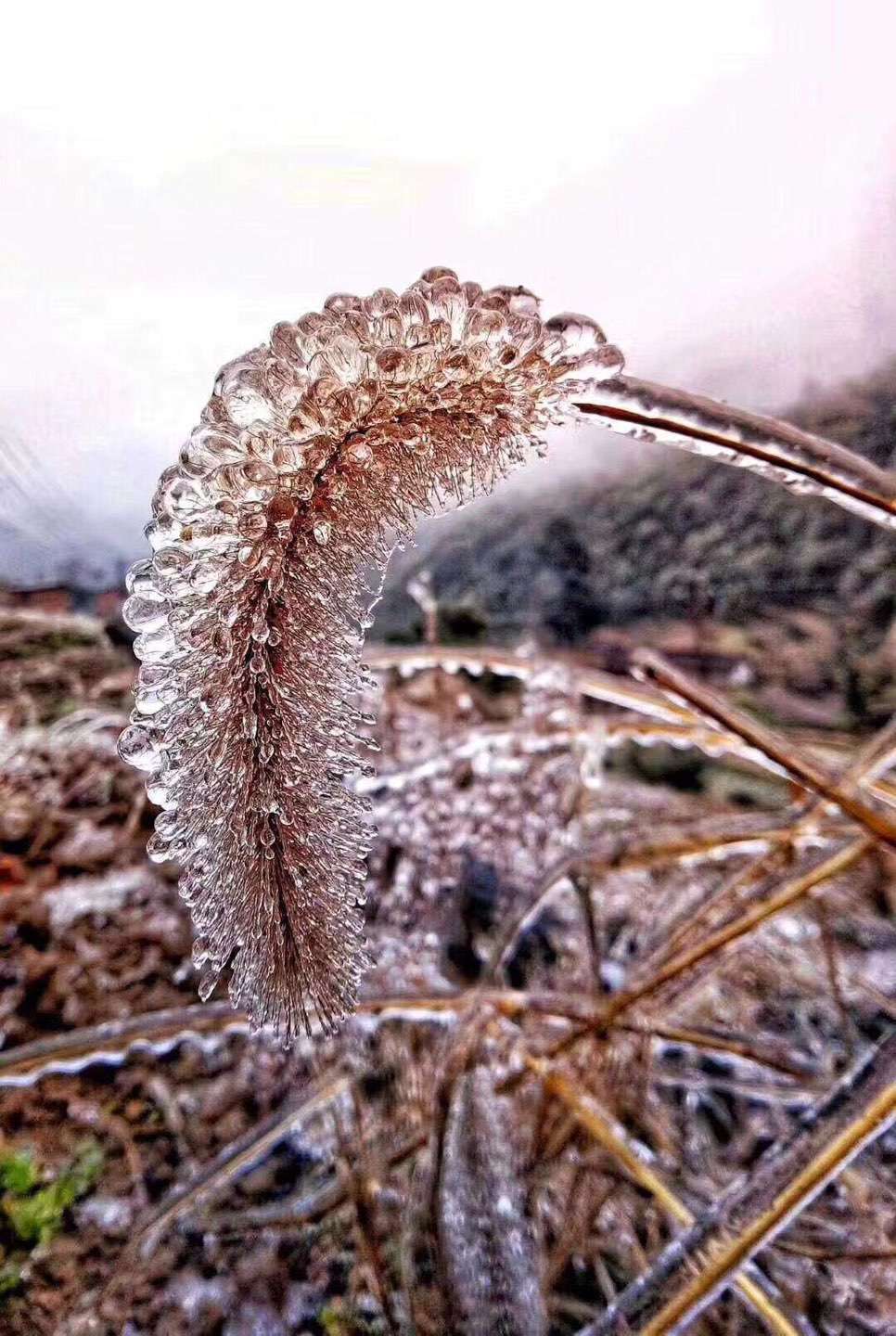 一家三个生病,一家三人癌症