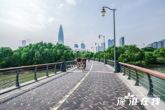 深圳湾公园有什么好玩的地方,深圳湾公园好玩吗